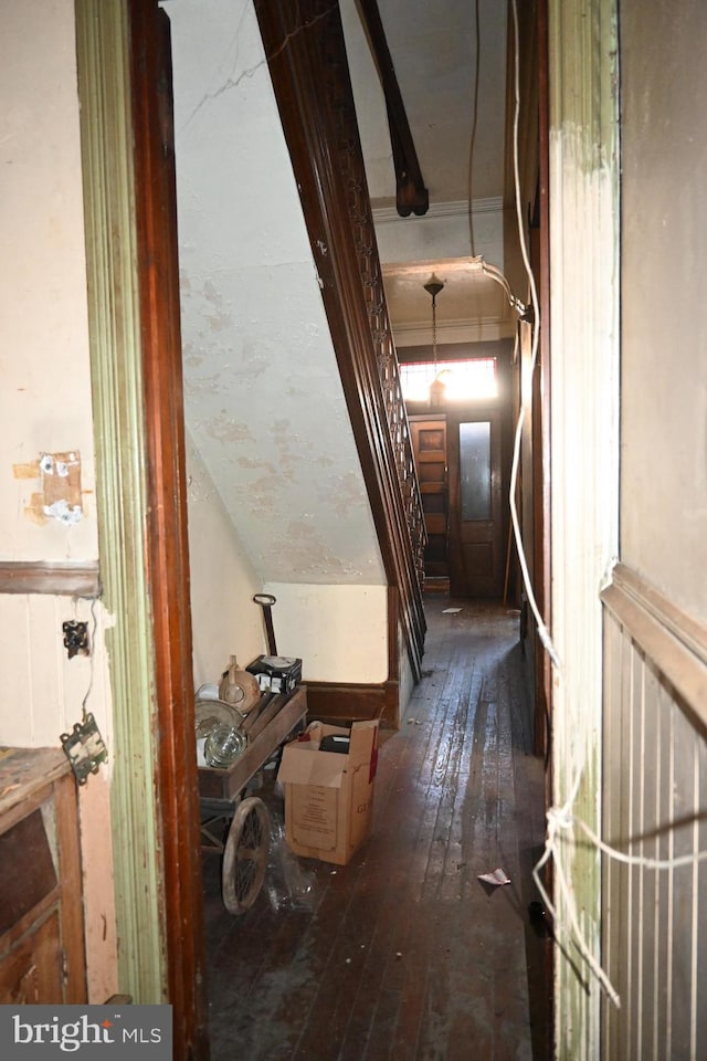 corridor with dark wood-type flooring