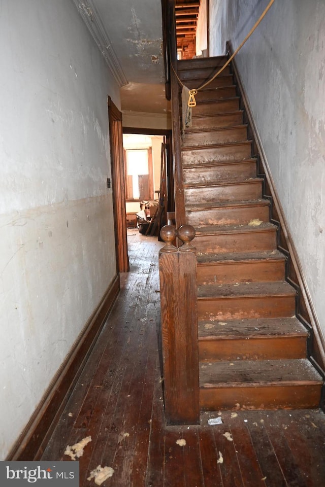 stairway with hardwood / wood-style floors and ornamental molding