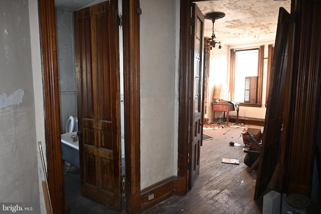 hall with dark hardwood / wood-style flooring