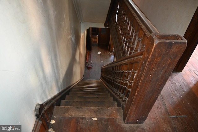 stairway featuring wood-type flooring