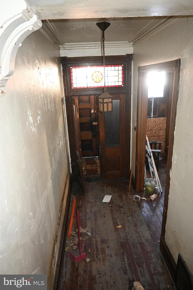 miscellaneous room featuring dark hardwood / wood-style flooring and crown molding