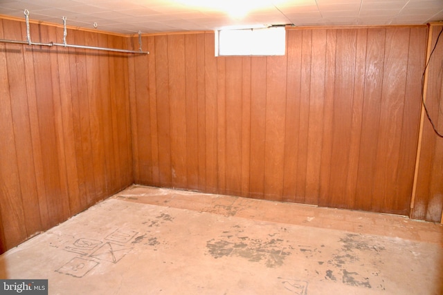 basement featuring wood walls