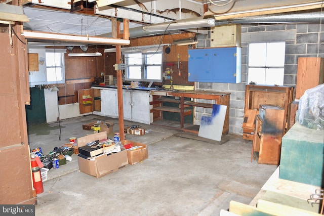 basement with a workshop area and plenty of natural light