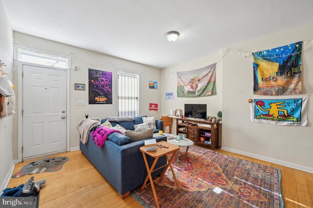 living room with hardwood / wood-style flooring