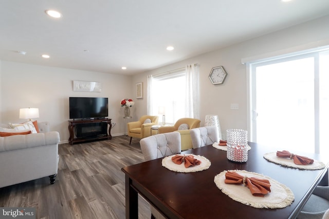 dining room featuring wood-type flooring