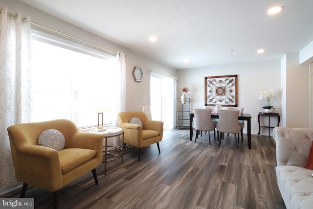 sitting room featuring dark hardwood / wood-style floors