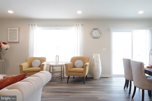 living room featuring dark hardwood / wood-style flooring and a wealth of natural light