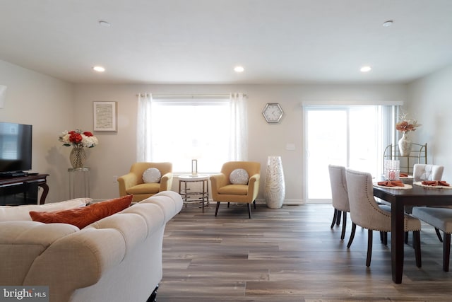 living room featuring dark hardwood / wood-style floors