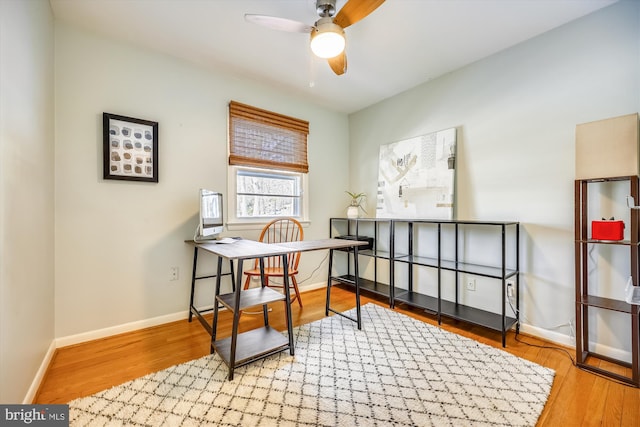 office area featuring ceiling fan and hardwood / wood-style floors