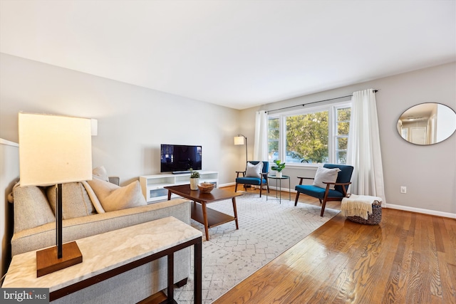 living room with hardwood / wood-style floors