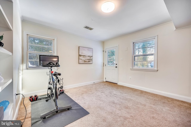 workout area with carpet floors, a healthy amount of sunlight, and ornamental molding