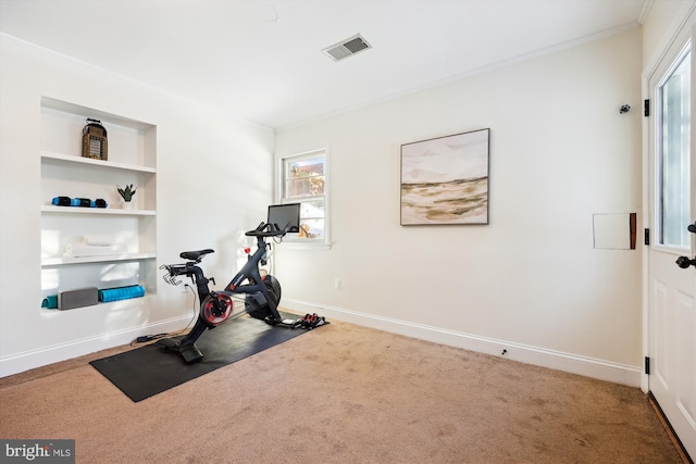 workout area with crown molding, built in features, and carpet