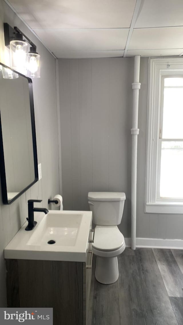 bathroom featuring hardwood / wood-style floors, vanity, and toilet