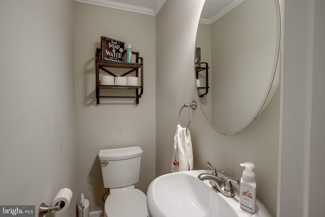 bathroom with sink, toilet, and ornamental molding