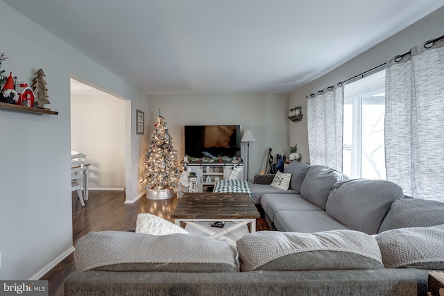 living room with dark hardwood / wood-style flooring