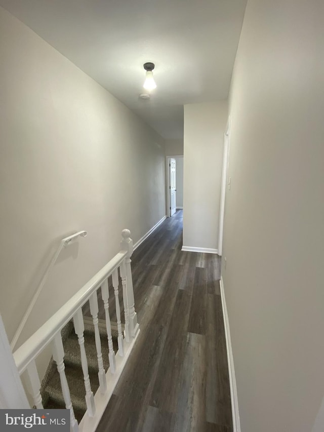 corridor featuring dark hardwood / wood-style flooring