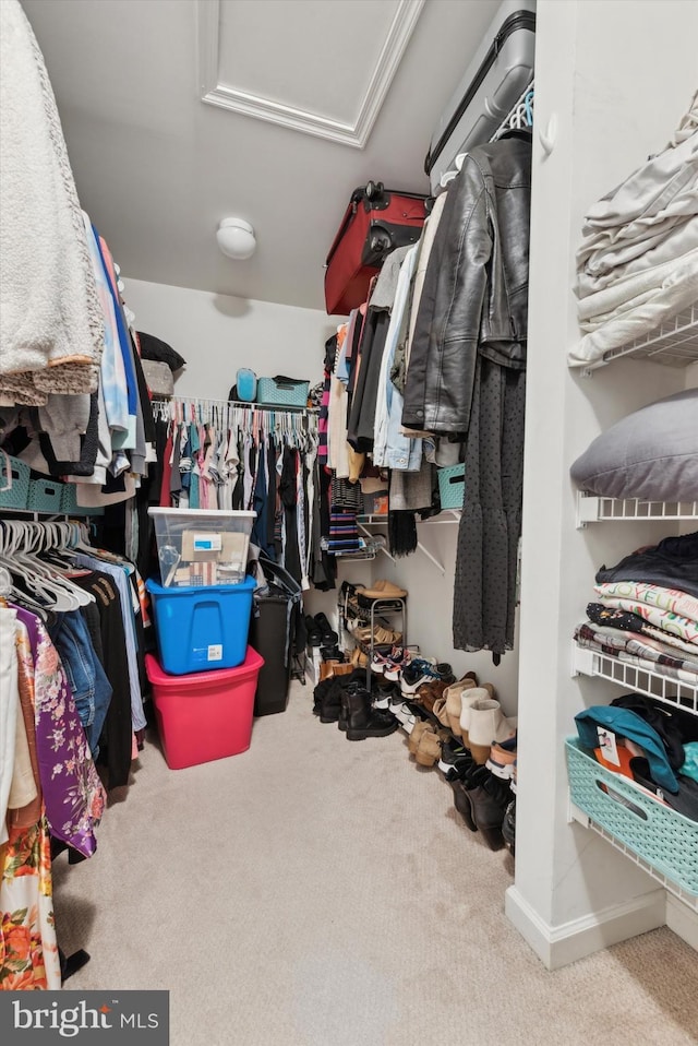 spacious closet with carpet and attic access