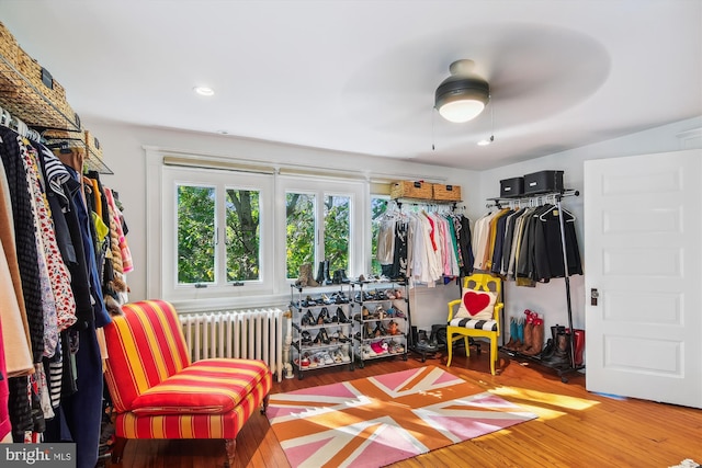 spacious closet with ceiling fan, radiator, and hardwood / wood-style flooring