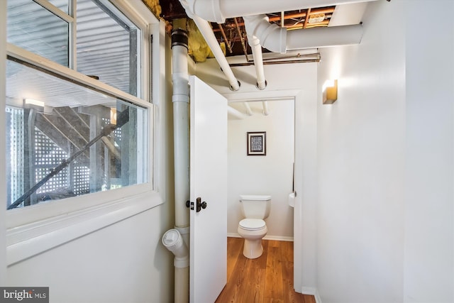 bathroom featuring toilet and hardwood / wood-style flooring