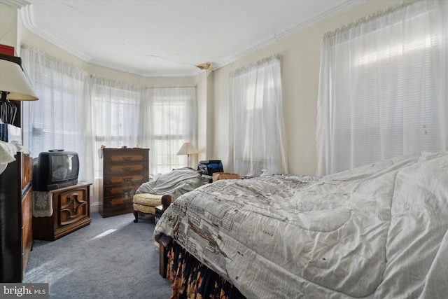 bedroom featuring carpet floors and crown molding