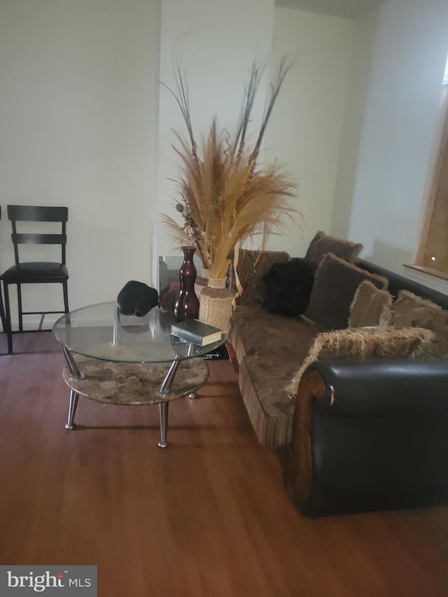 living room featuring wood-type flooring