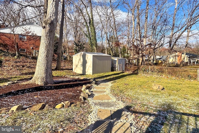 view of yard with a storage unit