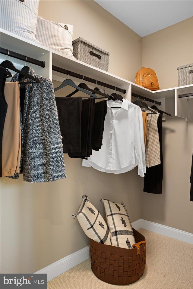 spacious closet with carpet floors