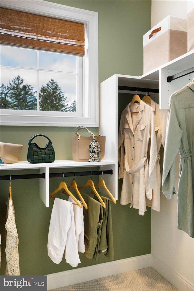 mudroom featuring carpet