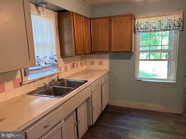 kitchen featuring tasteful backsplash, dark wood-type flooring, and sink