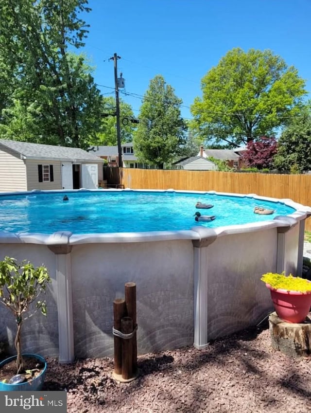 view of pool with a shed