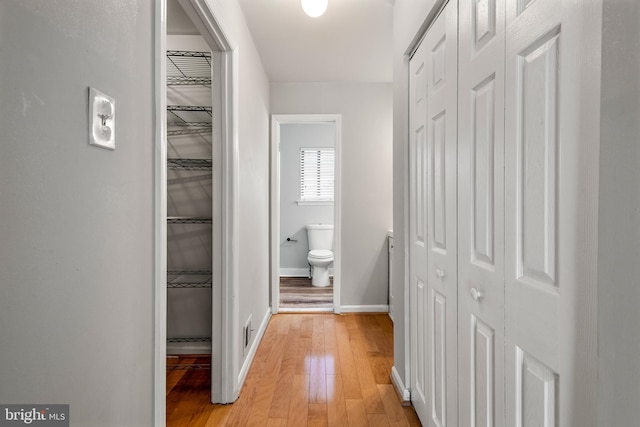 hall featuring light hardwood / wood-style floors