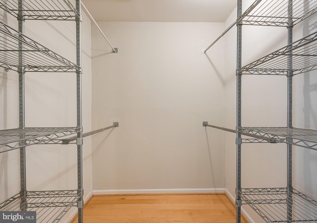 spacious closet with hardwood / wood-style floors