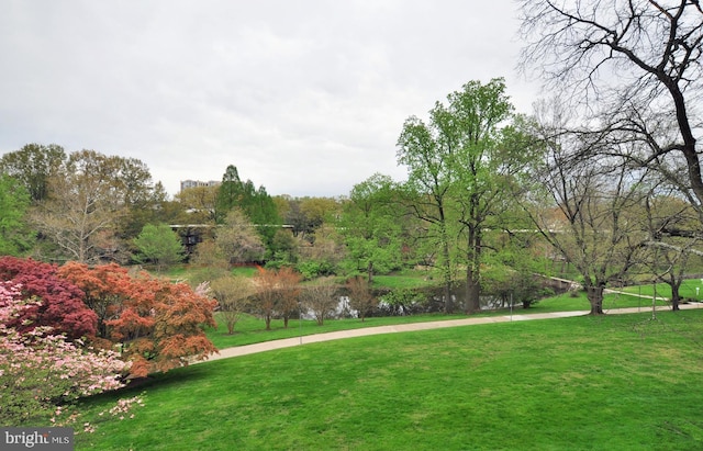 view of home's community featuring a lawn