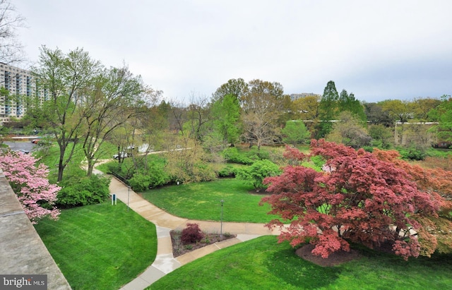 view of community featuring a yard