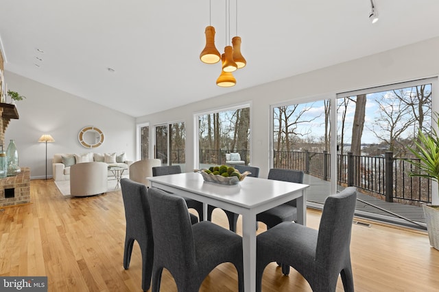 dining space featuring plenty of natural light, light wood-style flooring, track lighting, and vaulted ceiling