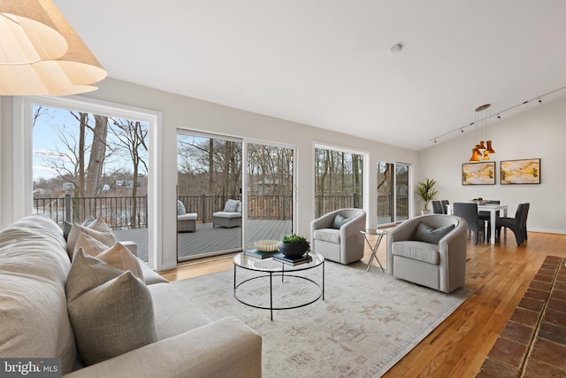 living room featuring plenty of natural light, wood finished floors, rail lighting, and vaulted ceiling