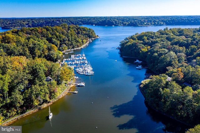 bird's eye view featuring a view of trees and a water view