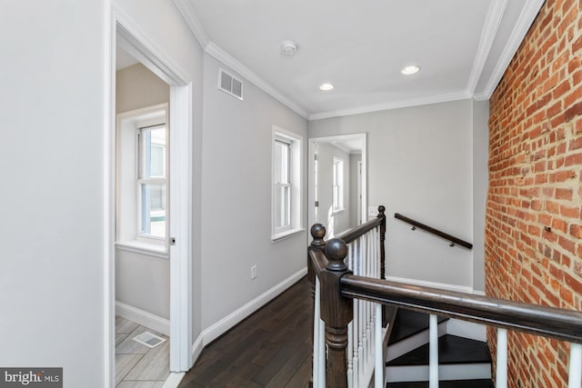 corridor with brick wall, dark hardwood / wood-style flooring, and ornamental molding