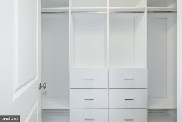 view of spacious closet