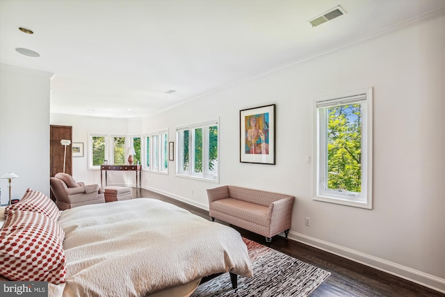 bedroom with multiple windows and dark wood-type flooring