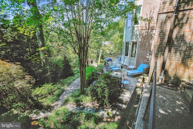 view of yard featuring a patio