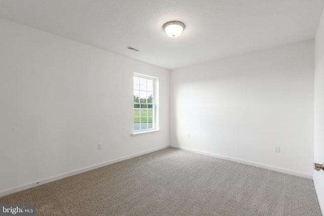 spare room featuring carpet floors