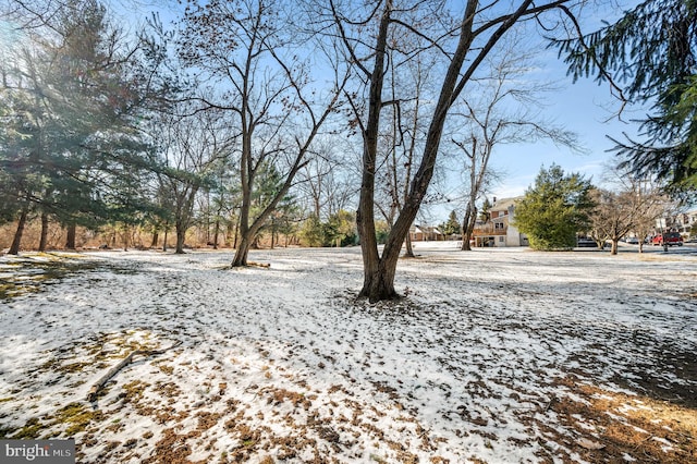 view of snowy yard