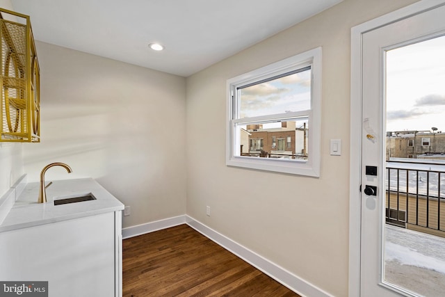 clothes washing area with dark hardwood / wood-style floors and sink