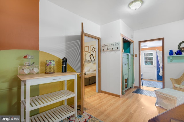 bathroom featuring wood-type flooring