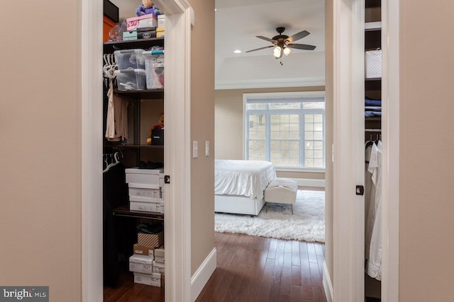 corridor with dark hardwood / wood-style floors