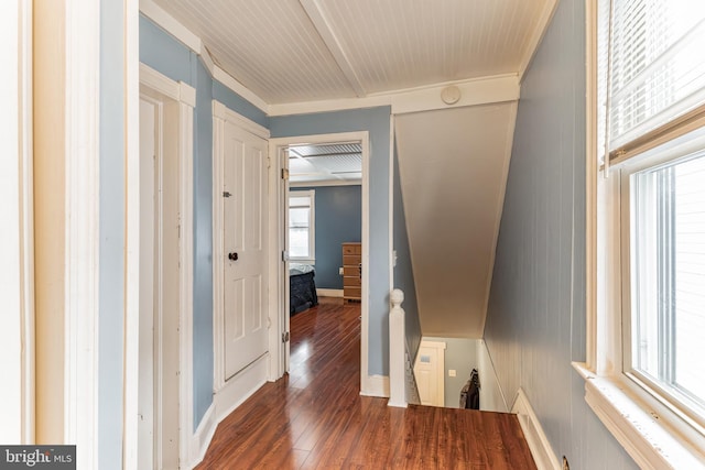 hallway featuring dark hardwood / wood-style flooring