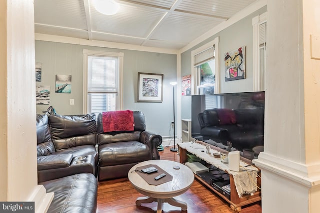 living room with hardwood / wood-style flooring