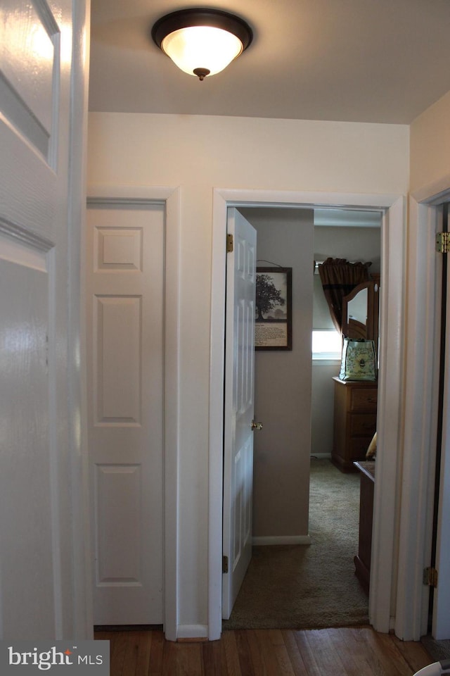 corridor featuring dark hardwood / wood-style floors