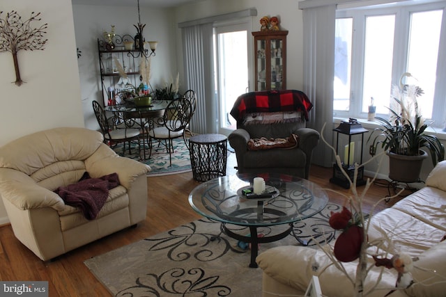 living room with hardwood / wood-style flooring, a wealth of natural light, and an inviting chandelier